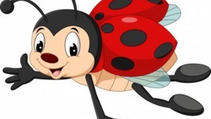 Accueil de loisirs du mercredi : Les Coccinelles Accueil de loisirs du mercredi : Les Coccinelles