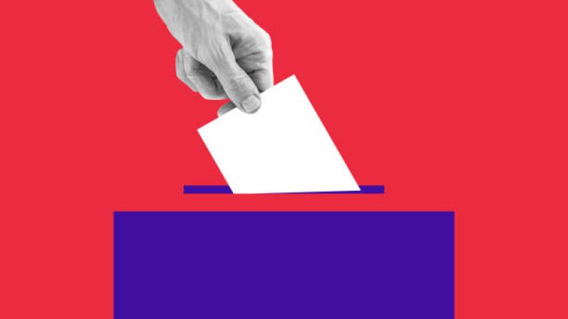 vote