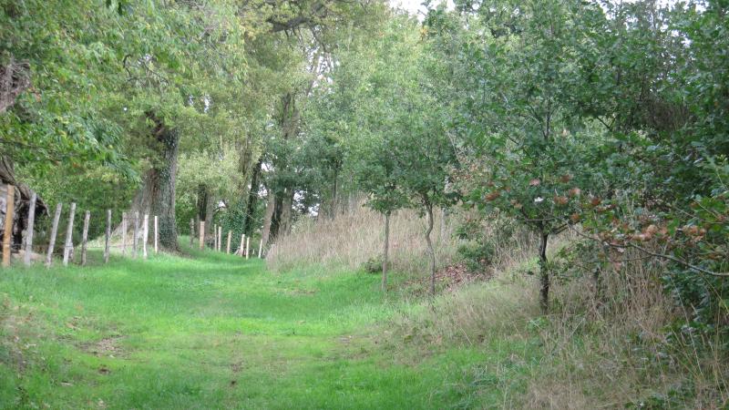 sentier