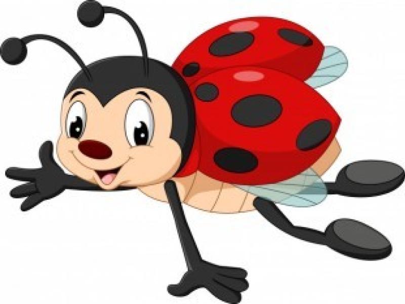 Accueil de loisirs du mercredi : Les Coccinelles