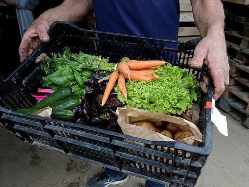 Enquête sur vos habitudes de consommation