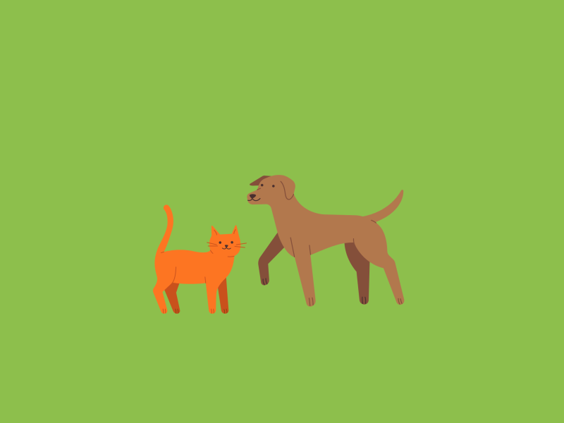 Amende animaux en divagation