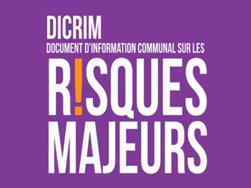 Dossier d'Information Communale sur les Risques Majeurs ( DICRIM )
