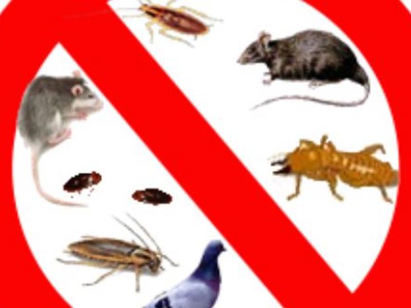 Groupement de défense, contre les ennemis des cultures