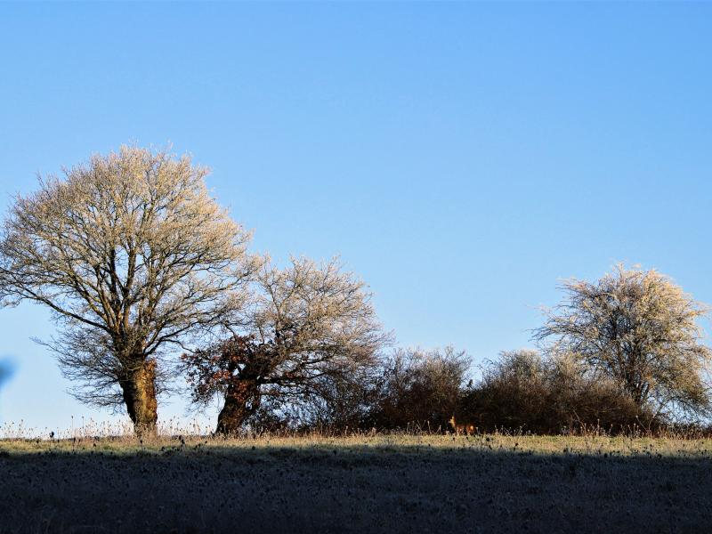 paysage
