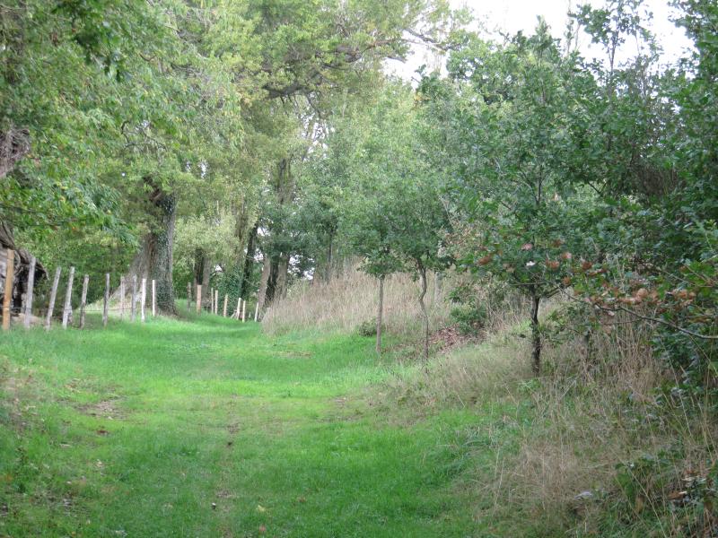 A la découverte de la vallée de La Morinière : faune, flore, paysages