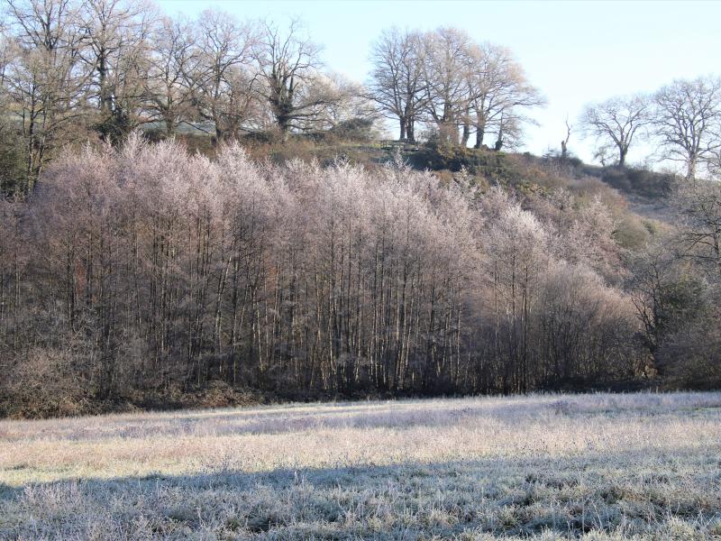vallée en hiver