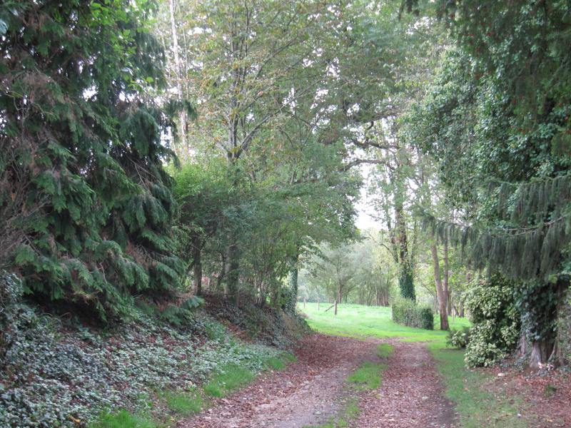 sentier