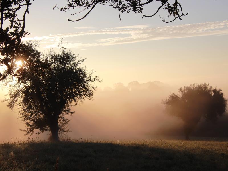paysage