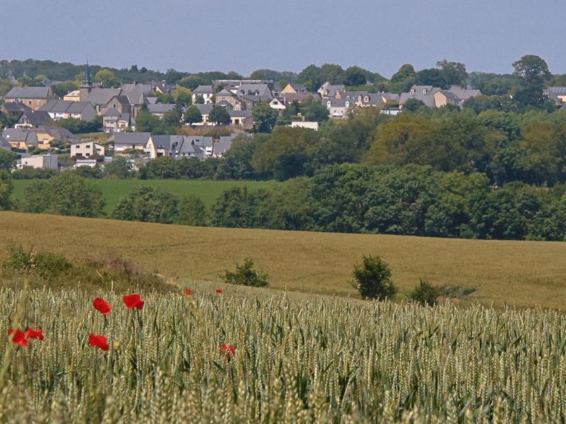 saint germain coquelicots
