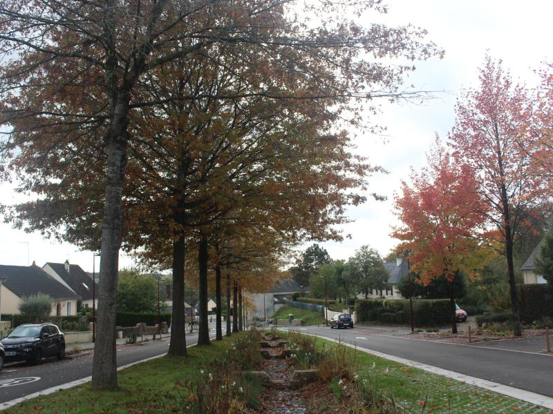 rue du mesnil