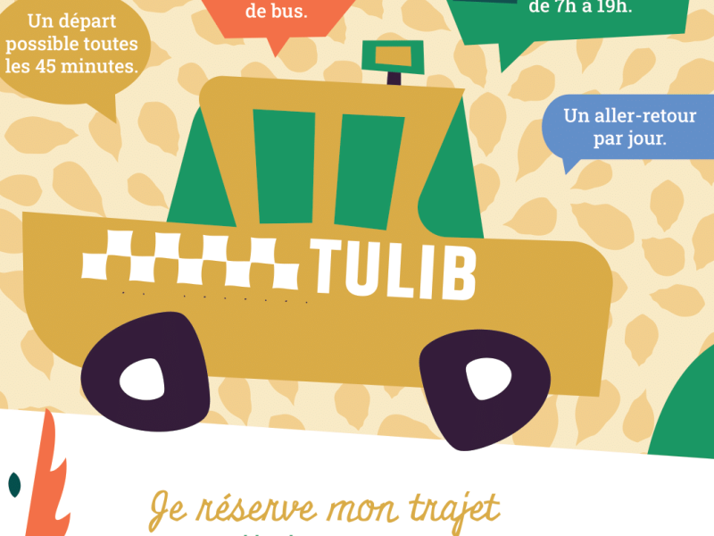 TULIB : Transport à la demande des TUL