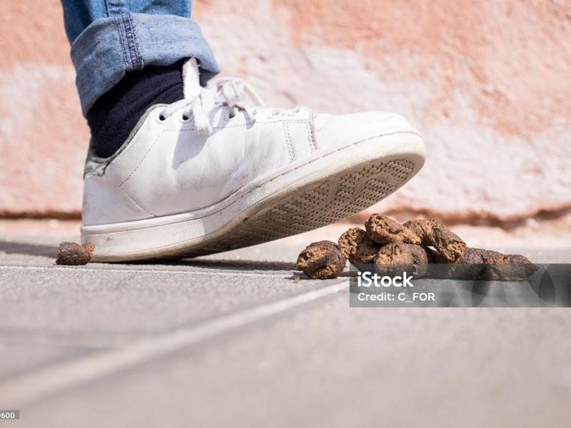 LUTTE CONTRE LES DÉJECTIONS CANINES
