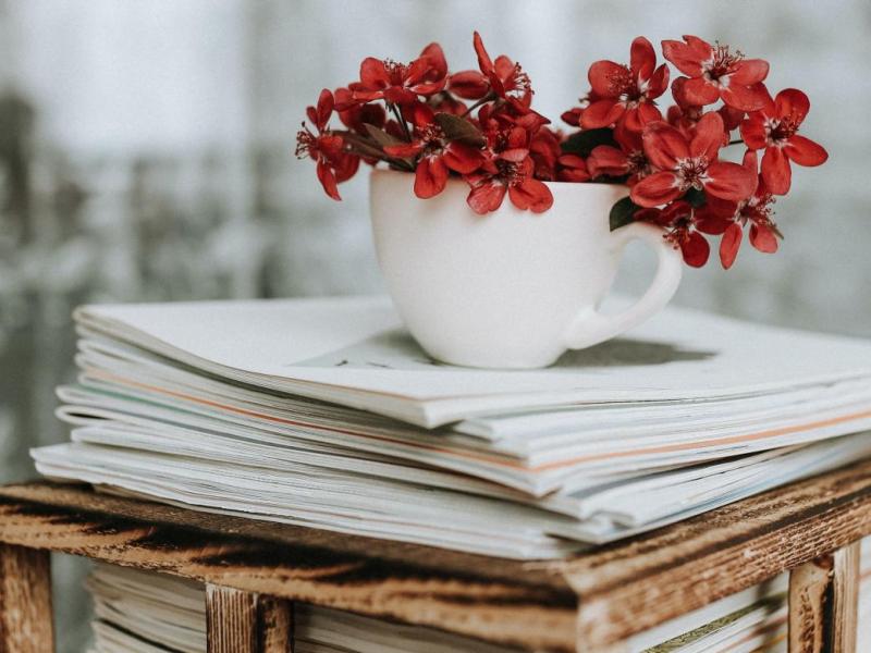 Bulletin annuel 2025