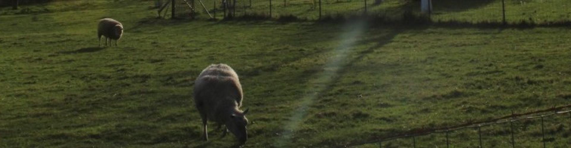 Saint Germain le Fouilloux